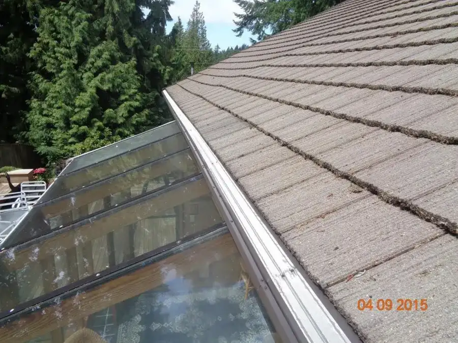 Brier Wa Jay Leaflessgutter™ Shield Master Leaf Filter